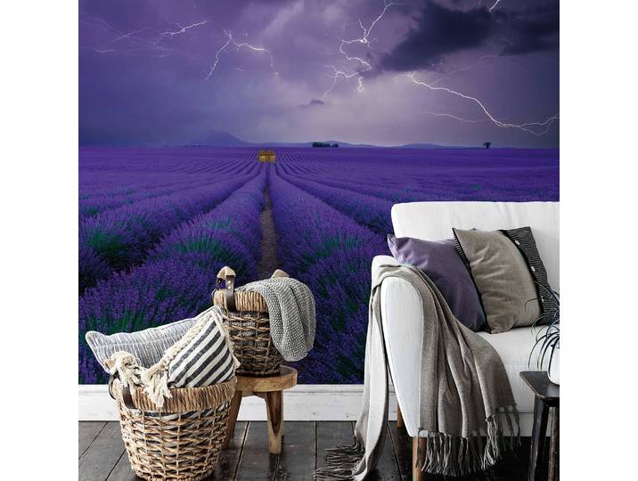 Papier peint Field of Lavender 3cm