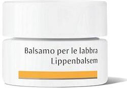 Dr Hauschka Balsamo Labbra 4,5 g
