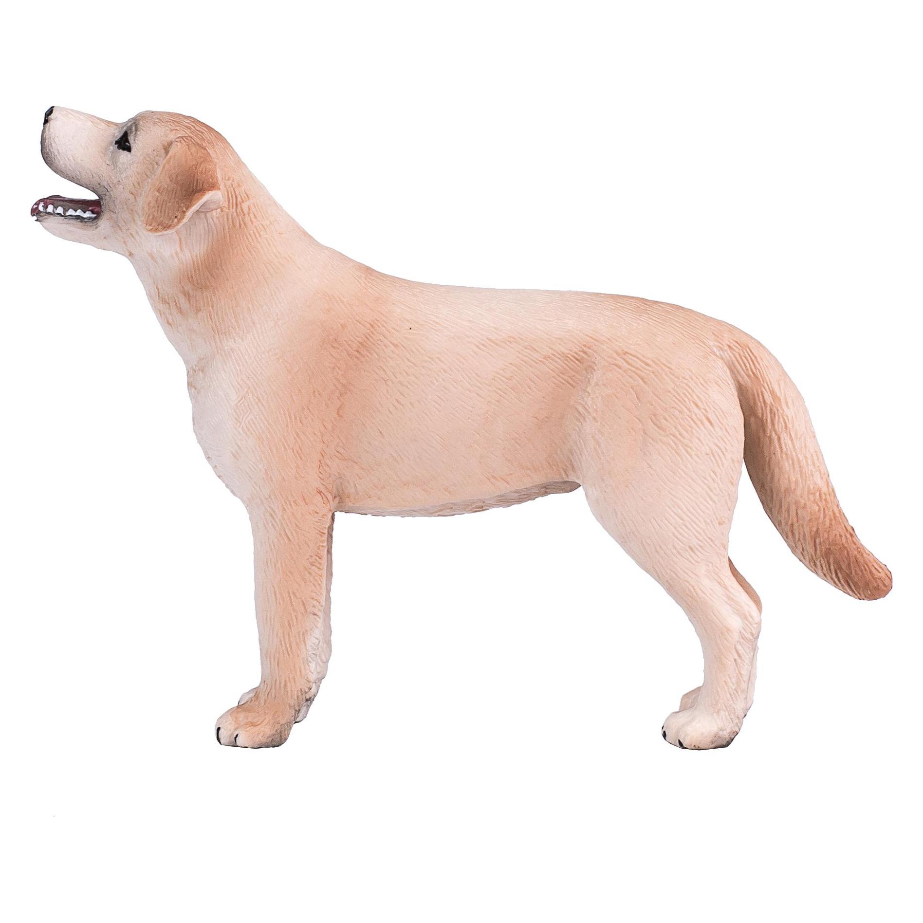 Mojo Labrador (387271)