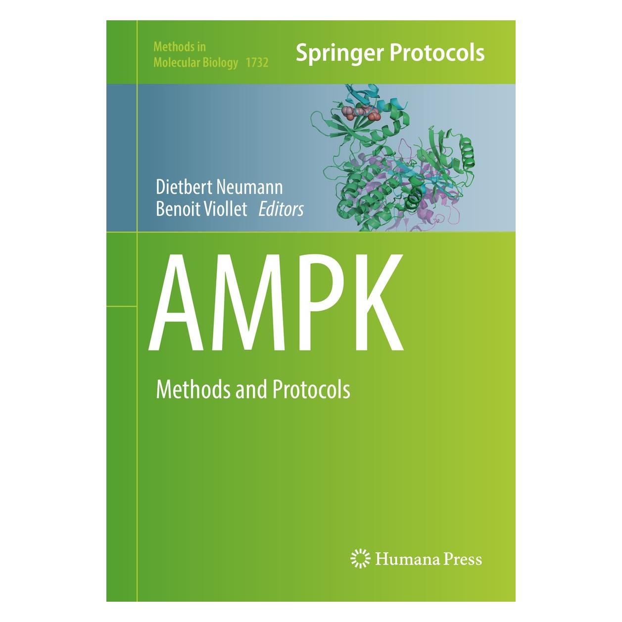 Springer Ampk (Englisch, Hardcover, Benoit Viollet, Dietbert Neumann) (9781493975976)
