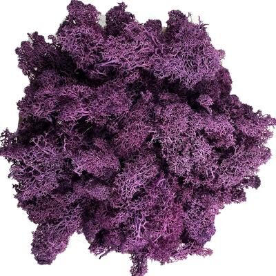 Inspire Select Artificial Reindeer Moss Decor Faux Green Moss For Crafts, Potted Plants & Wall Art purple 2.8 Oz