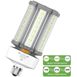 Bailey | LED-Lampe | Große Fassung E27 | Röhrenlampe | 85mm | 18 - 36W