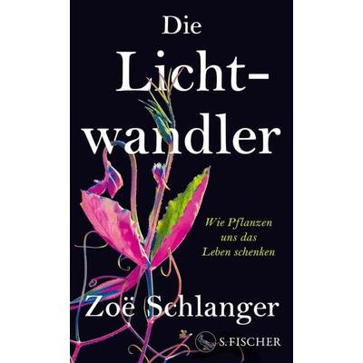 Die Lichtwandler, Gebundene Ausgabe von Zoë Schlanger, S. Fischer Verlag, 978-3-10-397660-1