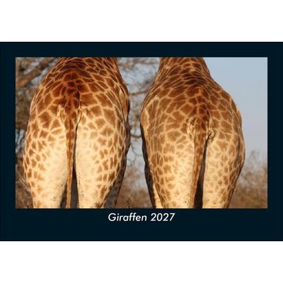 Giraffen 2027 Fotokalender DIN A5