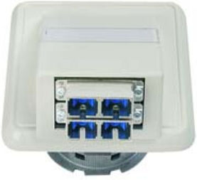 Telegärtner Boîtier de connexion OAD/S 2xST/SC-Duplex aws 100022457 (100022457)