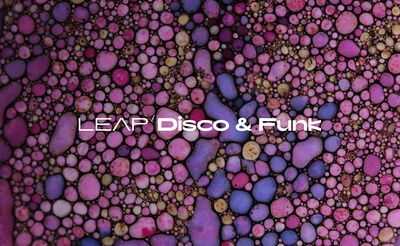 Native Instruments Leap Expansion Disco and Funk