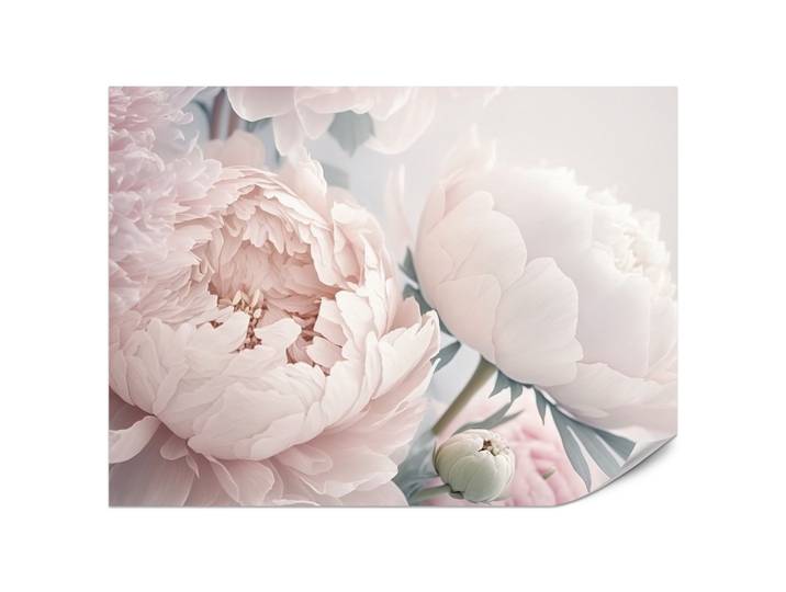 FOTOTAPETE für Schlafzimmer Große Blumen Rosa Pfingstrosen 200x140