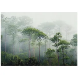 FOTOTAPETE 3D Effekt Wald im Nebel 150x105