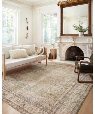 Alexander Home Sara Antique Ultra Plush Area Rug