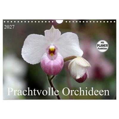 Prachtvolle Orchideen (Wandkalender 2027 DIN A4 quer), CALVENDO Monatskalender