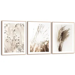 Bilder-Set BOTANIC NATURAL (BH 30x40 cm) - beige - BH 30x40 cm