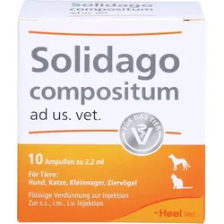 Solidago compositum vet. Ampullen (10 Stück)