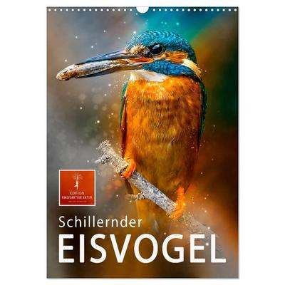 Schillernder Eisvogel (Wandkalender 2026 DIN A3 hoch), CALVENDO Monatskalender