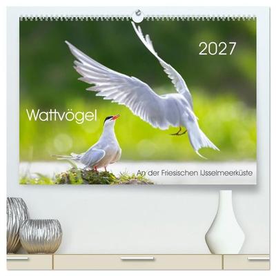 Wattvögel an der Friesischen IJsselmeerküste (hochwertiger Premium Wandkalender 2027 DIN A2 quer), Kunstdruck in Hochglanz