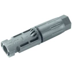 Photovoltaik-Steckverbinder WM4 1530700000 SFGH WM4 C BT Weidmüller Inhalt: 100 St.