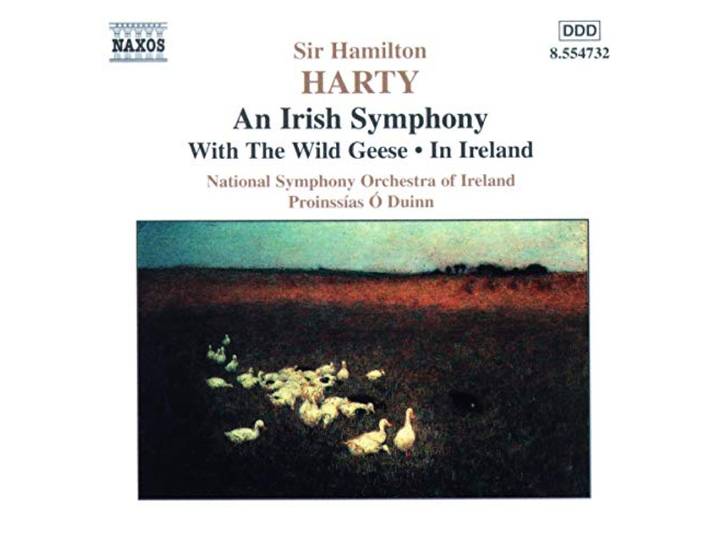 National Symphony Orchestra Of Irel - An Irish Symphony