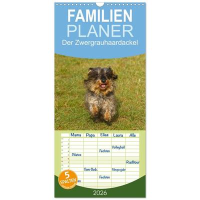 Familienplaner 2026 - Der Zwergrauhaardackel - Eigensinnig und Liebenswert mit 5 Spalten (Wandkalender, 21 x 45 cm) CALVENDO