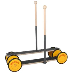 Pedalo, Balance Trainer