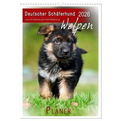 Deutscher Schäferhund - Welpen, Planer (Wandkalender 2026 DIN A3 hoch), CALVENDO Monatskalender