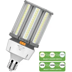 Bailey | LED-Lampe | Extra große Fassung E40 Röhrenlampe | 130mm | 80 - 120W