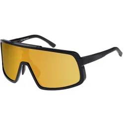 R2 Revel Sonnenbrille Schwarz/Braun/Gold Chrom