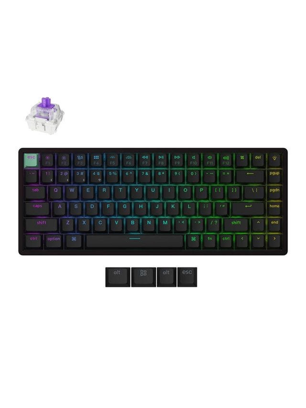Keychron K2 HE - keyboard - 75% - black Input Device