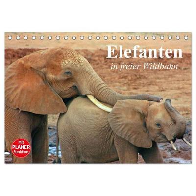 Elefanten in freier Wildbahn (Tischkalender 2027 DIN A5 quer), CALVENDO Monatskalender
