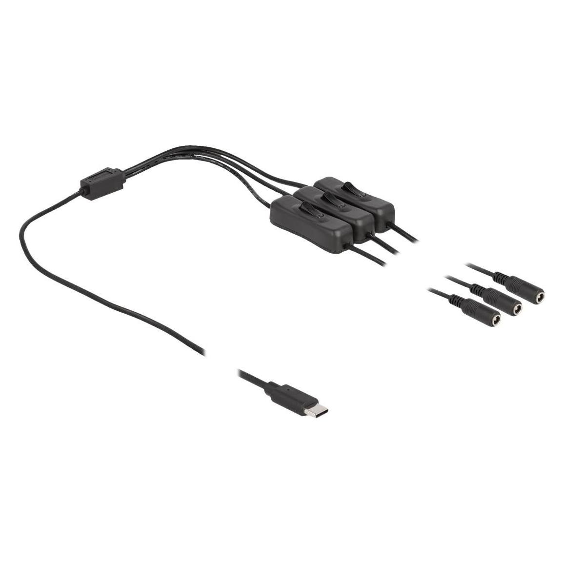 Delock 86801 Kabeladapter USB Type-C 3 x DC 5.5 x 2.1 mm Schwarz (1 m) (86801)