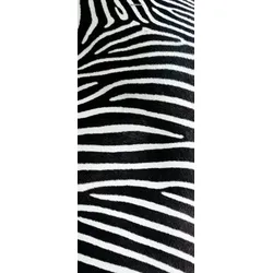 Scheurich Türfolie Zebra, für Innen- Außentüren