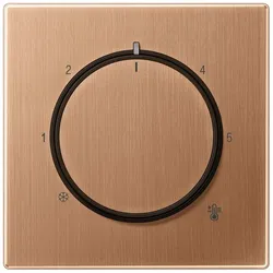 Jung Abdeckung BRG 1749