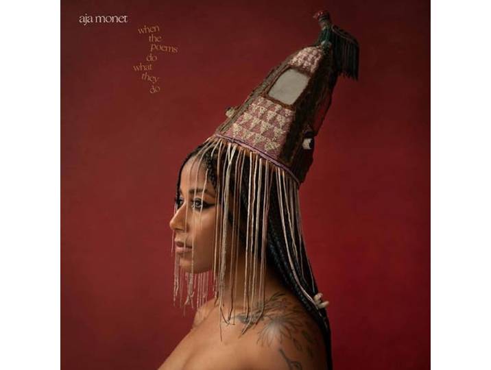 WHEN THE POEMS DO WHAT THEY DO (2LP)