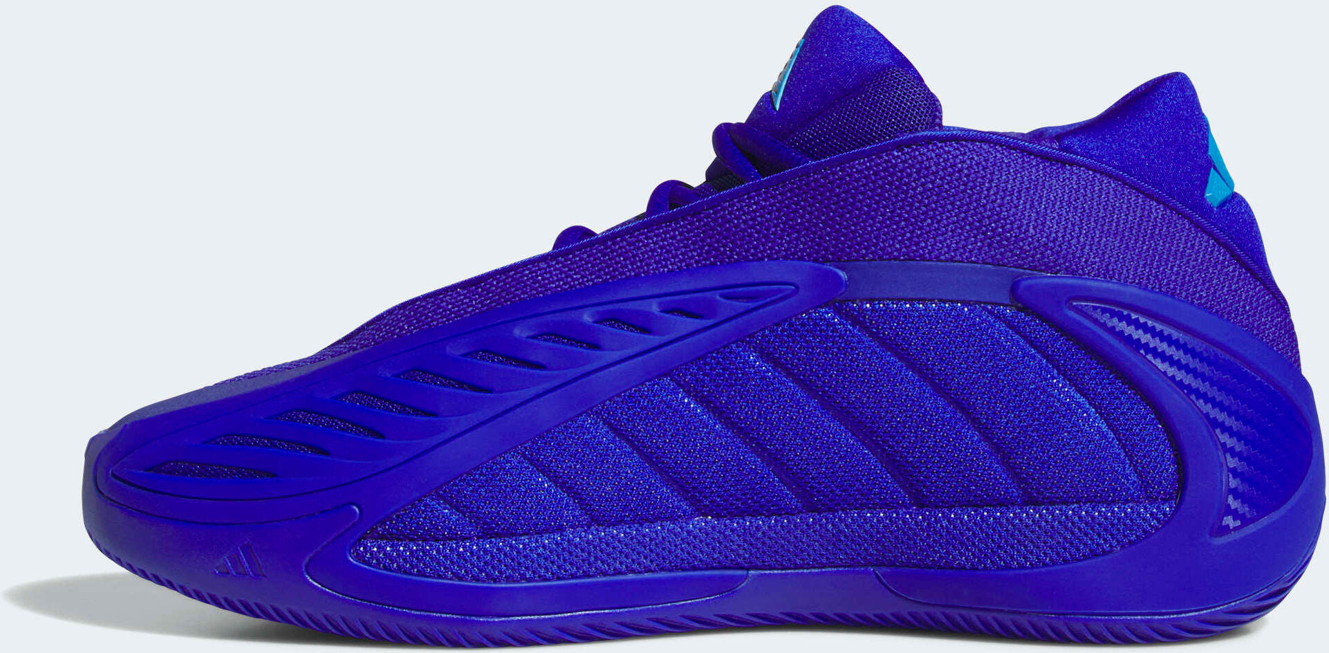 Basketballschuh ADIDAS PERFORMANCE "ANTHONY EDWARDS 2", Gr. 41, lila (lucid blau, lucid ray blau, lucid blau), Synthetik, Textil, Schuhe Basketballschuh lucid blau, lucid ray blau, lucid blau 41