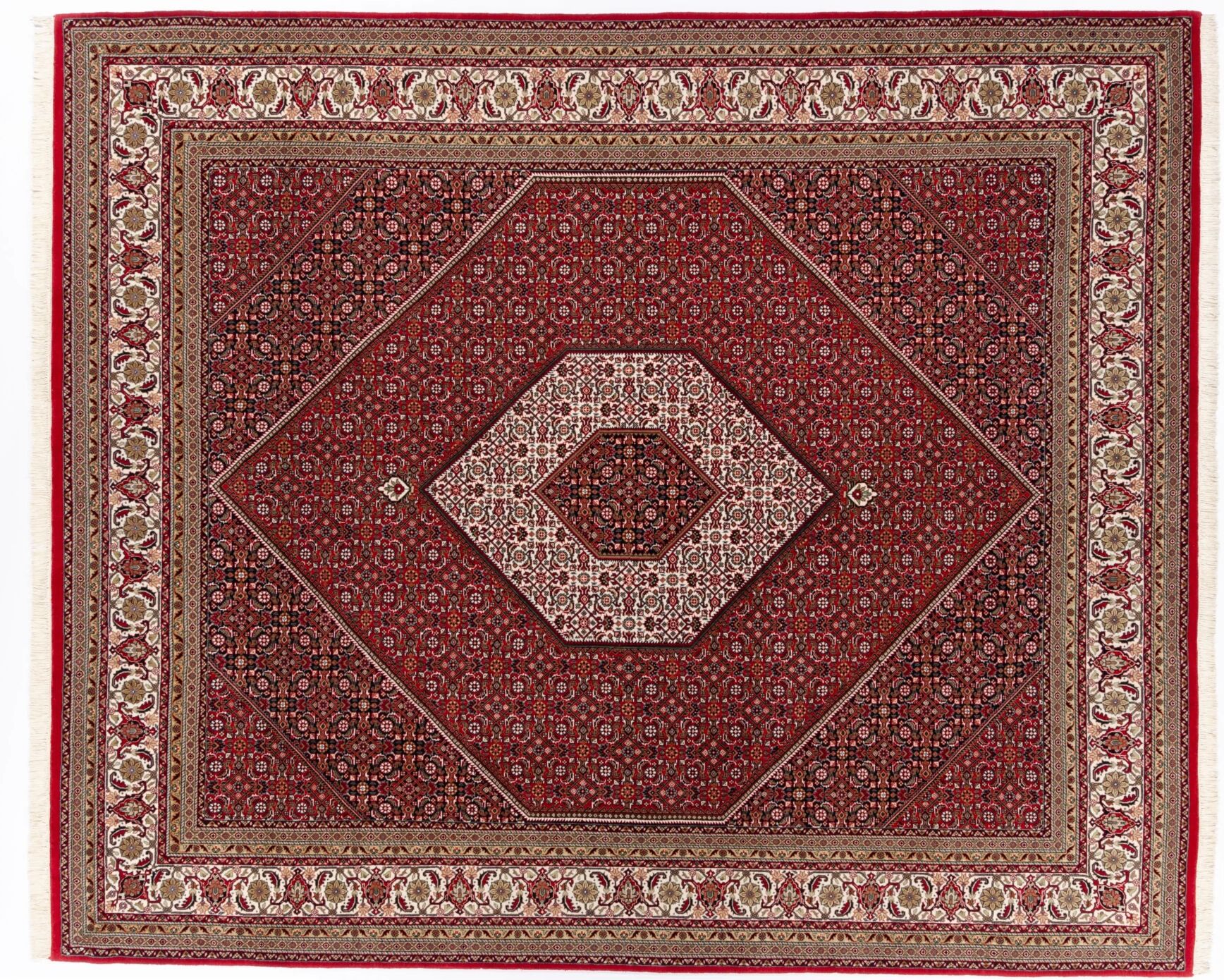 Negra Indo Bidjar  Rot