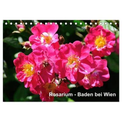 Baden bei Wien - Rosarium (Tischkalender 2027 DIN A5 quer), CALVENDO Monatskalender