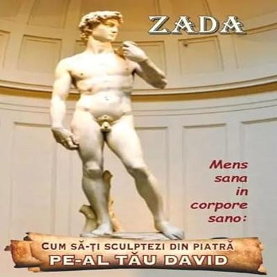 Cum sǎ-ți sculptezi din piatrǎ pe-al tǎu David - Camelia Popescu, Audio, 9791221490046