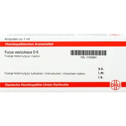Fucus Vesiculosus D6 Ampullen 8 ML