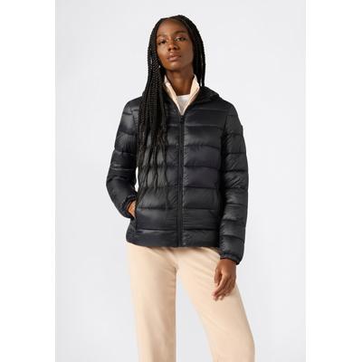 Steppjacke CHAMPION "Light Outdoor Polyfilled Hooded Jacket", Damen, Gr. M, schwarz (nbk), Obermaterial: 100% Polyamid. Futter: 100% Polyester. Wattierung: 100% Polyester, Jacken Steppjacke, für sportliche Aktivitäten, mit Polyester-Wattierung