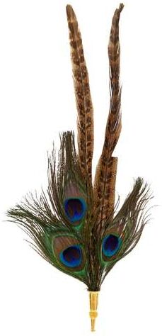 Hutfeder, 25 cm