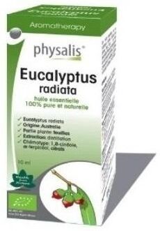 Physalis Eucalyptus Radiata Essence 10 ml