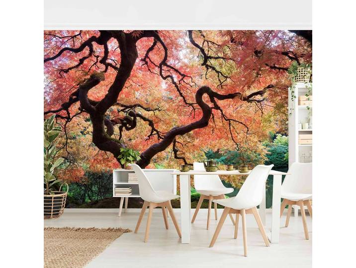 Papier peint intissé Jardin japonais 432 x 290cm 432 x 290 cm