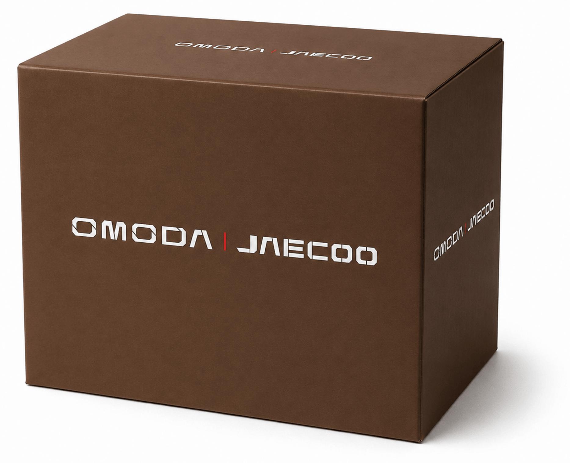 OMODA JAECOO Jahreslizenz Diagnosegerät DAST-0001-02 OE