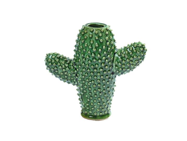 Serax Serax cactusvaas Small