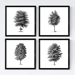 POSTER Set mit 4 Blättern der Baumstamm in feinen, weißen 30x30 cm Rahmenlos