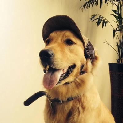Uplifted Finds Adjustable Pet Outdoor Sun Visor Mesh Baseball Cap brown