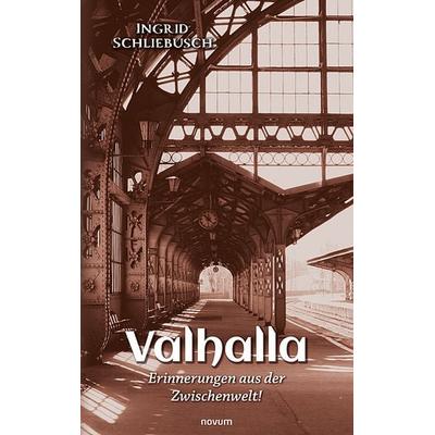 Valhalla – Erinnerungen aus der Zwischenwelt!, Taschenbuch von Ingrid Schliebusch, Novum Verlag, 978-3-99146-516-4