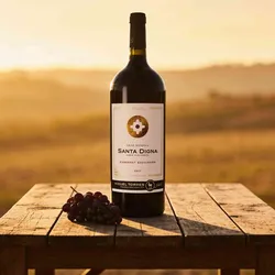 Torres 2017 Torres Santa Digna Cabernet Sauvignon Reserva 2017 (Magnum) Cabernet Sauvignon Chile