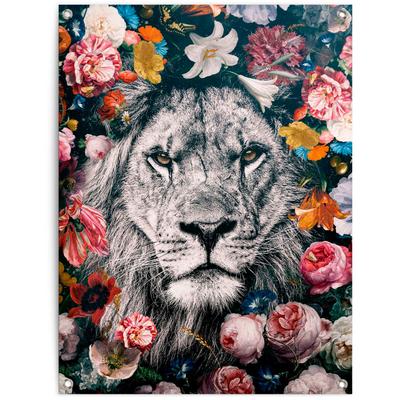 Poster REINDERS "Löwe", bunt (farbe bild(er): bunt), B:60cm H:80cm T:0,1cm, Leinwand, Bilder, Poster