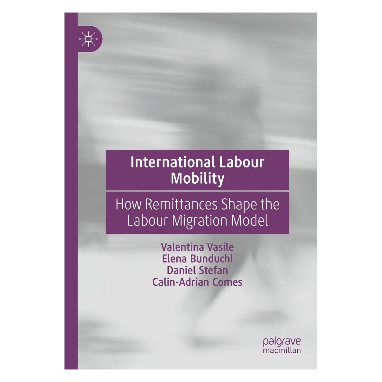 Springer International Labour Mobility (Englisch, Hardcover, Calin-Adrian Comes, Daniel Stefan, Elena Bunduchi, Valentina Vasile) (9783031186820)