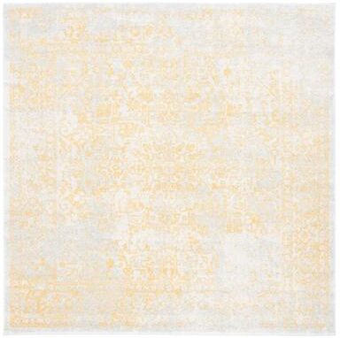 SAFAVIEH Evoke Quinn Vintage Distressed Rug