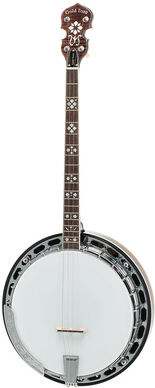Gold Tone TS-250 Tenor Banjo w/Case Vintage Braun